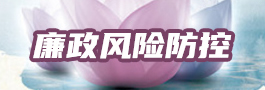 廉政风险防控